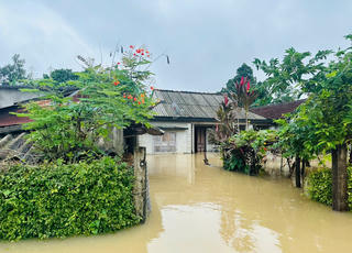 Quảng Ngãi: Mưa lớn gây thiệt hại kinh tế cho người dân