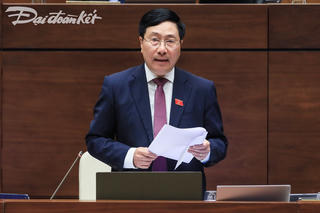 Có tình trạng san ủi đất lâm nghiệp ở các địa phương