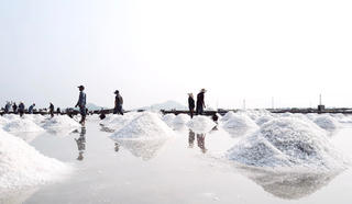 Phát huy giá trị hạt muối