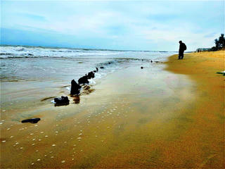 Về chiếc tàu đắm ở bờ biển Cẩm An (Hội An, Quảng Nam): Cần xây dựng các kế hoạch bảo vệ con tàu