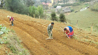 Tháo gỡ khó khăn trong hỗ trợ đất ở, đất sản xuất cho đồng bào dân tộc thiểu số