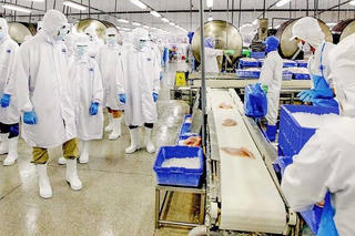 Doanh thu tháng 7 của nữ hoàng cá tra đạt gần 1.200 tỷ