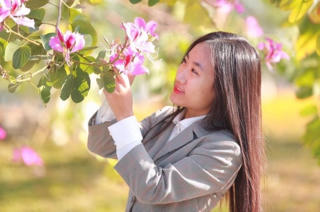 Tuyên Quang: Cô giáo lên đường nhập ngũ