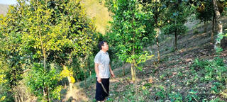 Động lực từ những lá đơn xin thoát nghèo