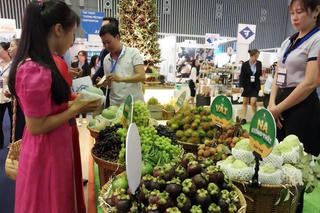 Doanh nghiệp gặp khó khi chuyển đổi xanh