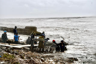 Biển 'nuốt' đất rừng Cà Mau