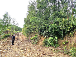 Quảng Nam: Mỏ đất được đấu giá hơn 67,7 tỷ đồng, gấp 54 lần giá khởi điểm