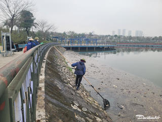 Cá chết hàng loạt, bốc mùi hôi ở Công viên Thiên văn học