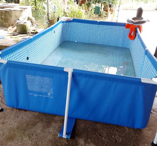 Vào bể bơi mua sẵn để chơi, bé gái 3 tuổi tử vong do đuối nước