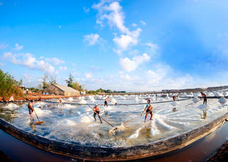 Diêm dân Bạc Liêu đang chờ niềm vui mới