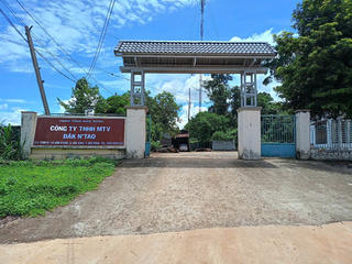 Phó giám đốc công ty lâm nghiệp bị đánh gãy xương sườn khi đi kiểm tra rừng