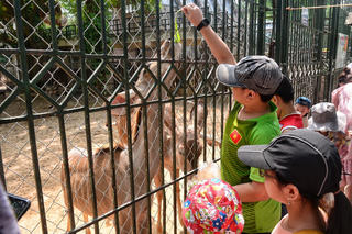 Mặc nắng nóng, Công viên Thủ Lệ đông vui ngày Quốc tế Thiếu nhi