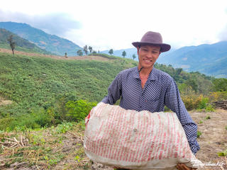 Nông dân vùng biên xứ Thanh phấn khởi thu hoạch sắn