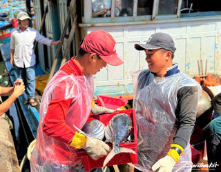 Ngư dân vui mừng trúng đậm vụ cá đầu năm