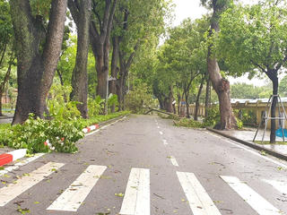 Tìm lại màu xanh cho Thủ đô