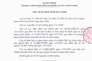 Bắc Ninh xử phạt Chi nhánh Công ty Haesung Tech 250 triệu đồng