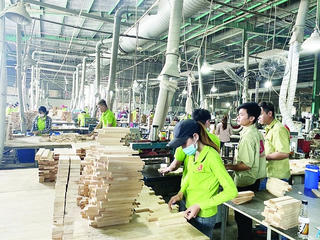 Ngành lâm nghiệp tiềm ẩn khó khăn