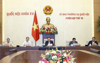 Thí điểm cấp quyền chọn biển số ô tô: Một mức giá, áp dụng toàn quốc, đấu giá trực tuyến