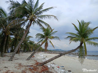 Quảng Ninh: Rác bủa vây khu du lịch Tuần Châu sau bão số 3
