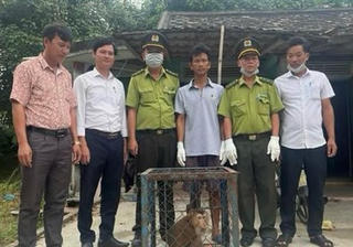 Thả loài động vật quý hiếm 'đi lạc' vào nhà dân về môi trường tự nhiên