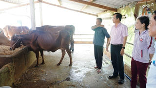 “Bà đỡ” cho những người nghèo