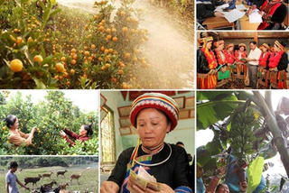 Thiết lập đường dây nóng tiếp nhận thông tin phản ánh về Chương trình MTQG