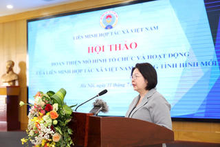 Hoàn thiện mô hình tổ chức Liên minh Hợp tác xã