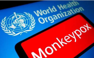 WHO chấm dứt tình trạng khẩn cấp về bệnh đậu mùa khỉ