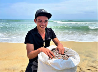 Quảng Ngãi: Ngư dân cào ốc gạo kiếm tiền triệu mỗi ngày