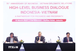 Tạo mọi điều kiện thuận lợi cho doanh nghiệp Indonesia đầu tư, kinh doanh