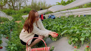 Khai phá tiềm năng 'mỏ vàng' du lịch