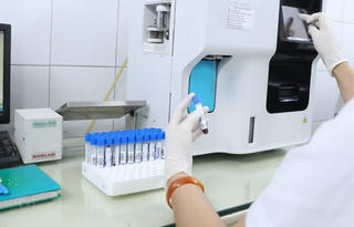 Bộ Y tế cung cấp thông tin về Nhóm Bông Hồng Đen ở Hải Phòng