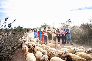 Hỏi-Đáp pháp luật: ​Đầu tư cơ sở hạ tầng thiết yếu vùng đồng bào dân tộc thiểu số và miền núi