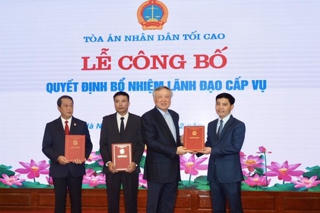 Ông Trần Đức Vinh nhận Quyết định bổ nhiệm Tổng biên tập Báo Công lý