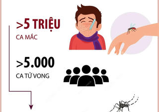 Tổ chức Y tế Thế giới cảnh báo mối đe dọa của bệnh sốt xuất huyết