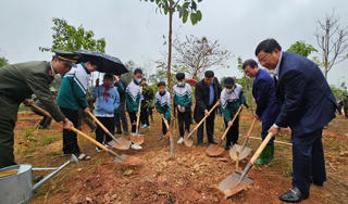 Phát động “Tết trồng cây đời đời nhớ ơn Bác Hồ” ở Khu di tích lịch sử quốc gia đặc biệt Đền Hùng