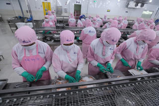 Gia tăng số doanh nghiệp thành lập mới