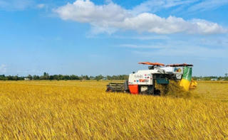 Liên kết chuỗi phát triển bền vững ngành hàng lúa gạo