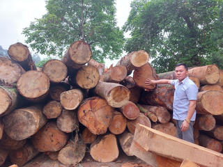 Nhà báo điều tra cần minh bạch trong tác nghiệp