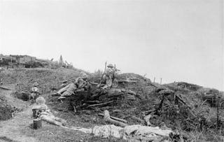 Chiến thắng Điện Biên Phủ - biểu tượng vĩ đại của lòng yêu nước