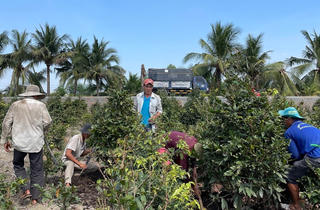 Dịch vụ thuê mai kiểng đắt khách