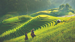 Người đứng sau ‘tuyệt phẩm’ đồi Mâm xôi
