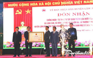 Tuyên Quang: Tập quán trồng lúa nước của người Tày là Di sản văn hóa phi vật thể quốc gia