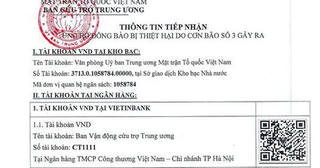 Những trang sao kê và hàng triệu niềm yêu thương