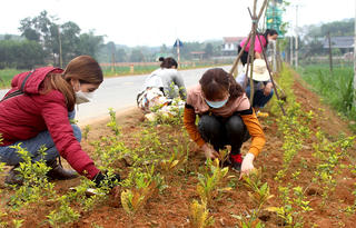 Bảo vệ môi trường từ những mô hình tự quản