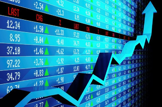 Đầu tư chứng khoán: Hàng loạt doanh nghiệp nhận 'trái đắng' 