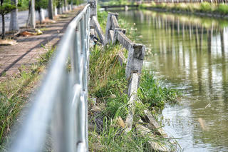 Lan can bờ kênh Đan Hoài xuống cấp chưa được sửa chữa gây mất an toàn