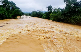 Hà Tĩnh: Mưa lớn làm vỡ đập, hàng chục hecta hoa màu cuốn theo dòng lũ