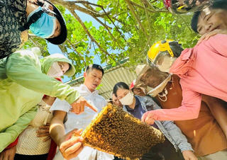 Dạy nghề nuôi ong giúp nông dân miền núi khởi nghiệp