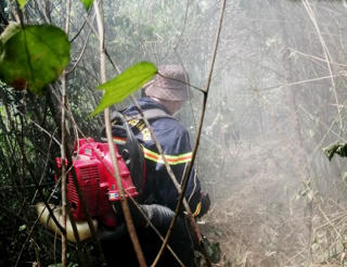 Hà Tĩnh: Huy động nhiều lực lượng tham gia dập tắt đám cháy rừng keo